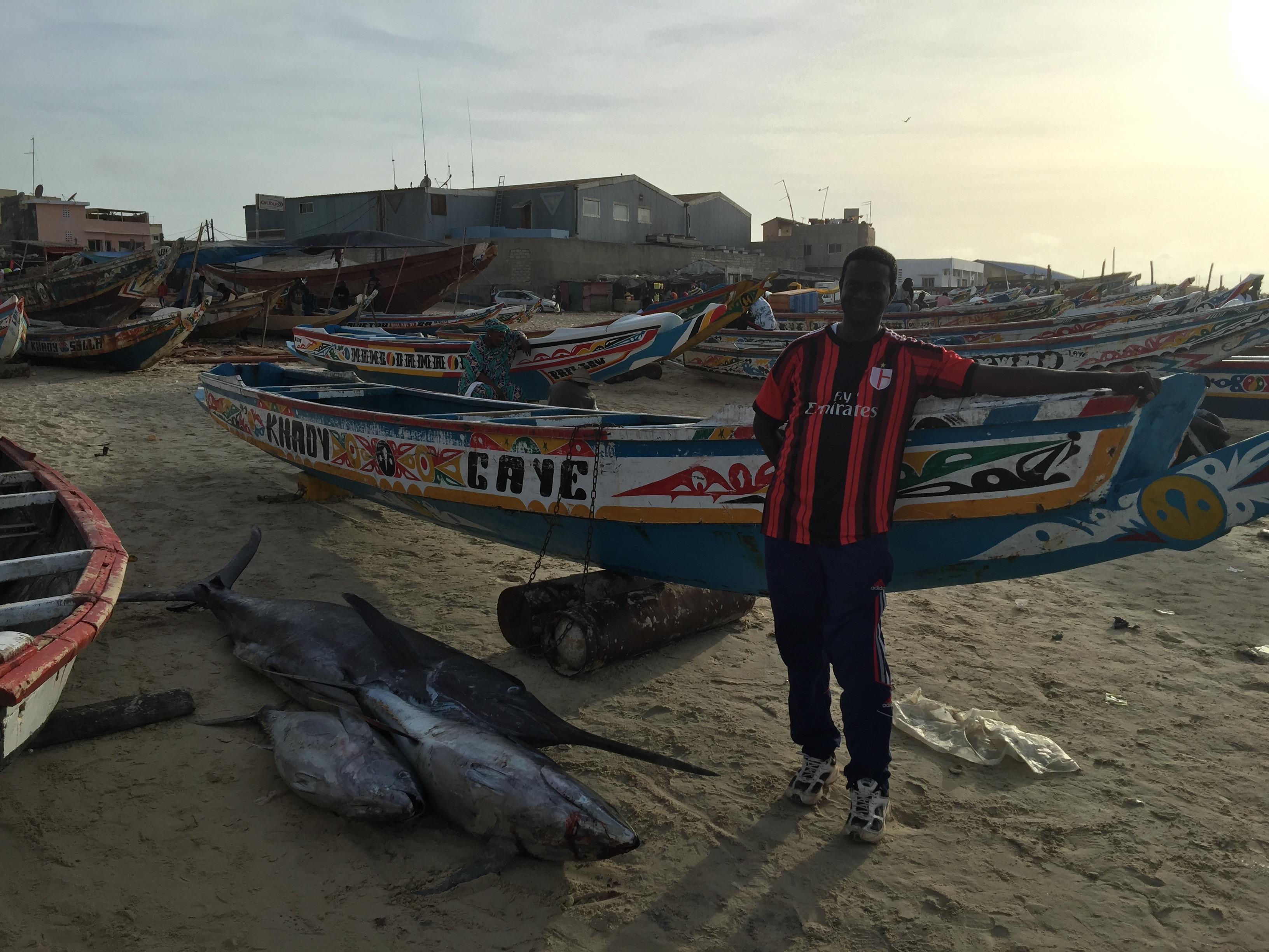 The Natural World of Senegal | Reach the World