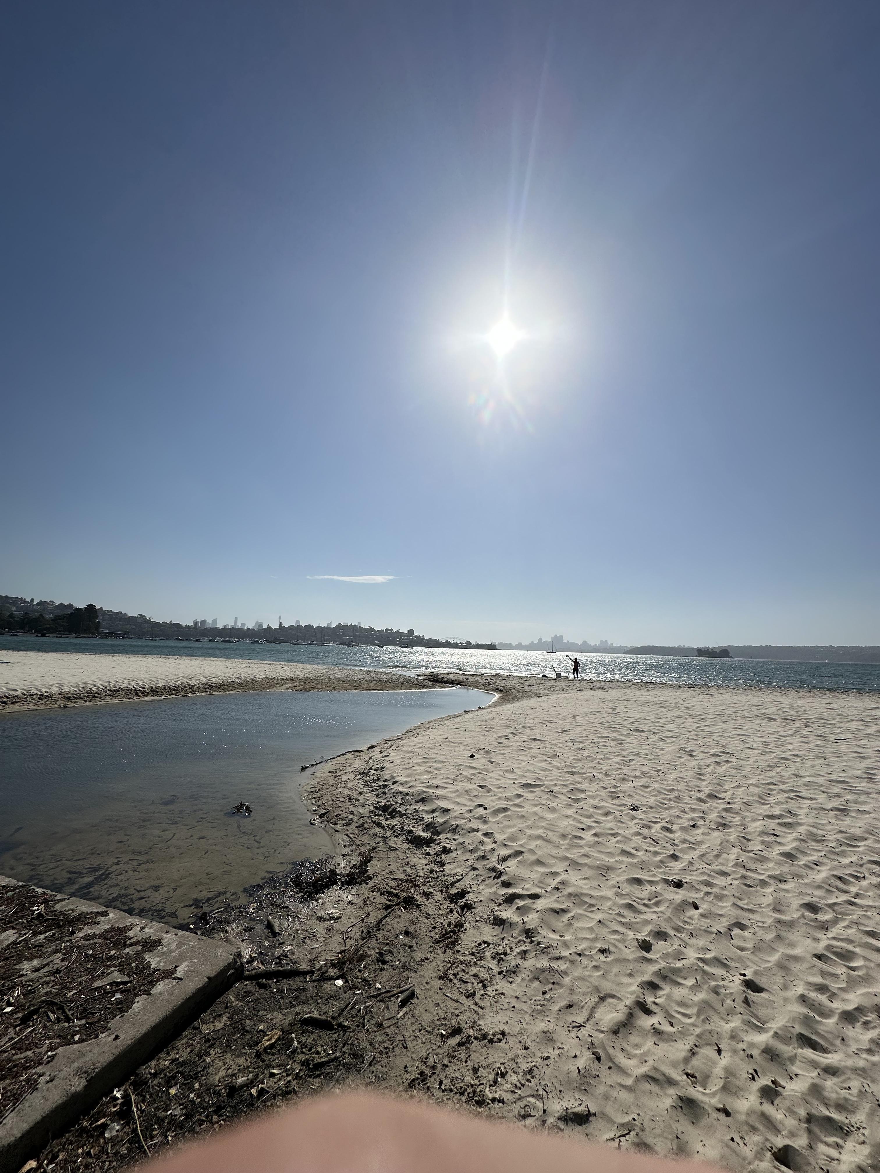 Sydney’s Beautiful Harbor Environment | Reach the World