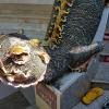 Another strange creature, but not a dinosaur