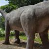 This long-necked beast towers over the nearby road
