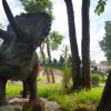 This looks like a triceratops to me