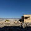 The view of Athens from the Acropolis