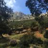 On the hiking trail