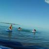 Taking floaties to the lake was the best decision we could have made