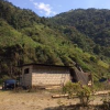 There was one hut that stood next to a mountain where monkeys live