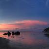 After sunrise, most sea turtle mothers will return to the sea