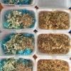 Nasi kerabu is a blue rice dish prepared using butterfly-pea flowers