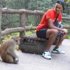 This monkey was not friendly 