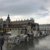 This is the plaza (main square) in Krakow, Poland! Just a five minute walk from my hostel!