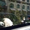 This cute polar bear window display is so festive!