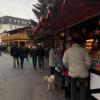 Wandering among the different stalls