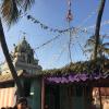 At the end of Pongal, gifts are placed at the top of this bamboo pole and then the pole is covered in oil. If you can still climb the pole with the oil, you get to keep the gifts