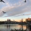 Clemente insists on feeding the birds wherever we go; they kind of scare me