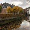 I love taking pictures of all the pretty trees and canals in NL