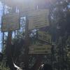 Trying to follow the signs in the glaring sun to get to the next destination.