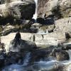 Here is my favorite place of the day. There were 3 smaller waterfalls all together, and you could climb on the rocks around them.