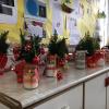 Do you like our little candlelit Christmas forest?
