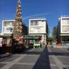 ...and trees adorned the Limassol marina...