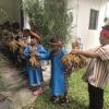 After the millet was tied up, all of the students stood in a line to pass the millet into the storage barn. Each time they passed it on, they have to thank the gods for bringing them the harvest by saying "Uninang!" which means "Thank you!".