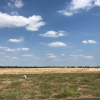 The Tempelhof field used to be an airport, but now it is a large public park