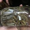 Another way that species can be organized are little tags, describing where, when and by who each specimen was collected
