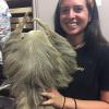 As I've mentioned, only trained people can hold live sloths, so I was excited to get to hold a taxidermy one!