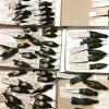 Some of the hummingbirds in the University of Costa Rica's collections migrated all the way from the U.S.- just like me!