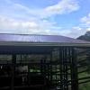 I loved visiting this beautiful place- learning about sustainable farming is my passion!
