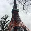 Tokyo Tower is an Eiffel Tower inspired radio tower built in 1958. It is found in Minato, the business center of Tokyo. It functions mostly as a radio tower, but also as a sight for tourists. 