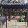 Down the street from Tokyo Tower you can find a series of Buddhist shrines dedicated to children. Parents come here to wish for the safety of their children and peace for those who they have lost. 