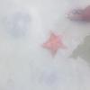 This starfish was almost the size of my entire foot 