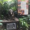 This statue was in honor of one of the rescue center's mountain lions who recently passed away 