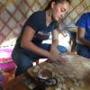 Me making a traditional Mongolian food called buuz
