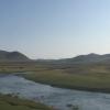 Animals grazing by the river.