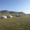 Gers where residents of Kharkhorin live. 