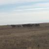 All throughout Khentii, you will see herds of horses movingg together in the distance. 