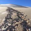 Footsteps on the sand dune... I love how there's snow and sand all at the same time! Have you ever seen that before?