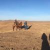 Nicola getting a camel ride!