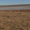 It is common to see the mirage of water in the desert, but that water really is there! 