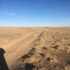 Typical Gobi desert: yellowish orange land and a seemingly endless dirt road. 