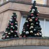 Christmas trees decorate a store