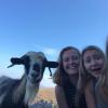 Selfie with a mountain goat, Rachel and Bina in Kalimnos, Greece
