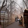 Pretty Christmas lights!