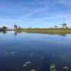 Ponds like this one filled with water, thanks to the dijks and windmills