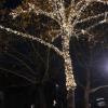 Rotterdam has started decorating for Christmas already