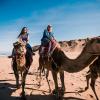 The camels are treated with good care