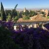 Formal flowers above the city 