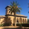 The prettiest palm tree inside the Alhambra!