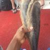 Have you ever seen whale teeth? The tour guide of the beach showed us some and they are very soft and flaky