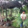 As soon as I hopped out of the car, I asked the tour guide to show how he uses Toquilla trees to build homes